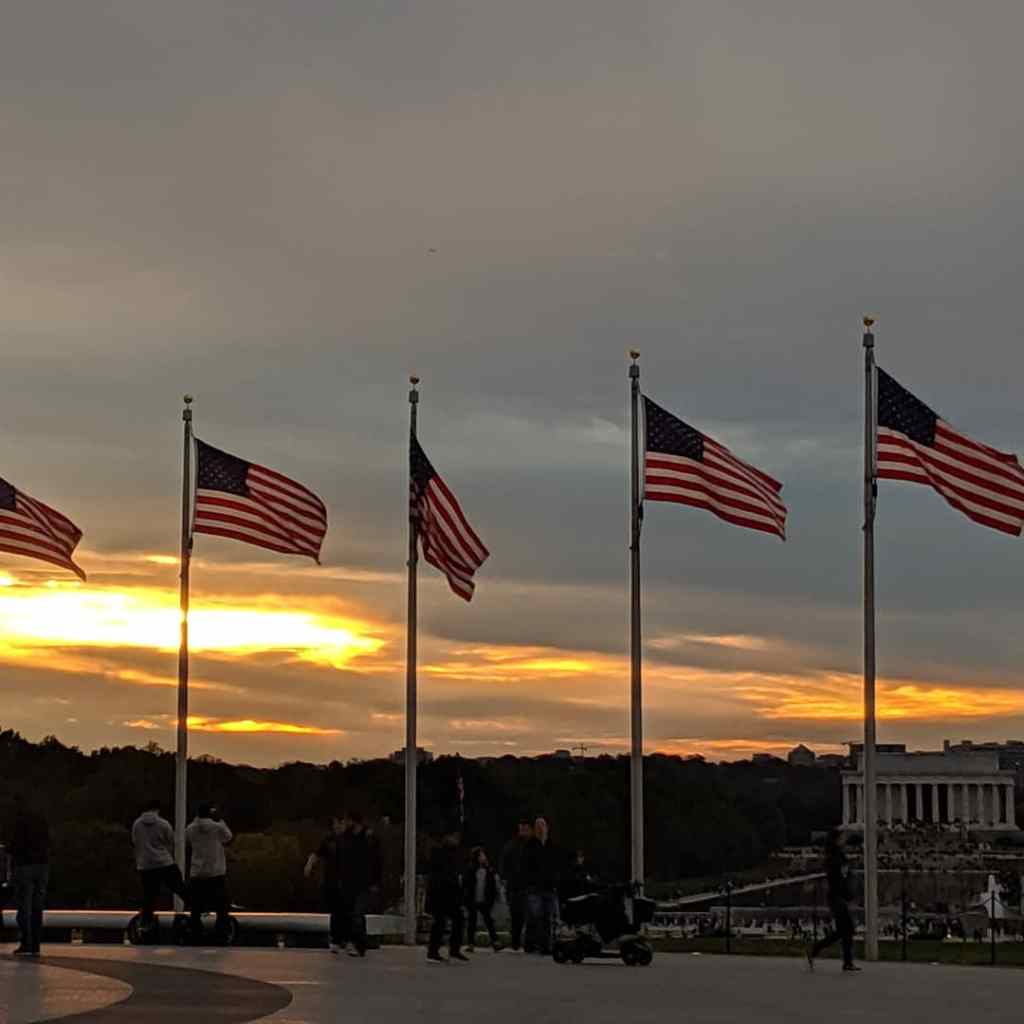 Latent Lollygagger: Founding