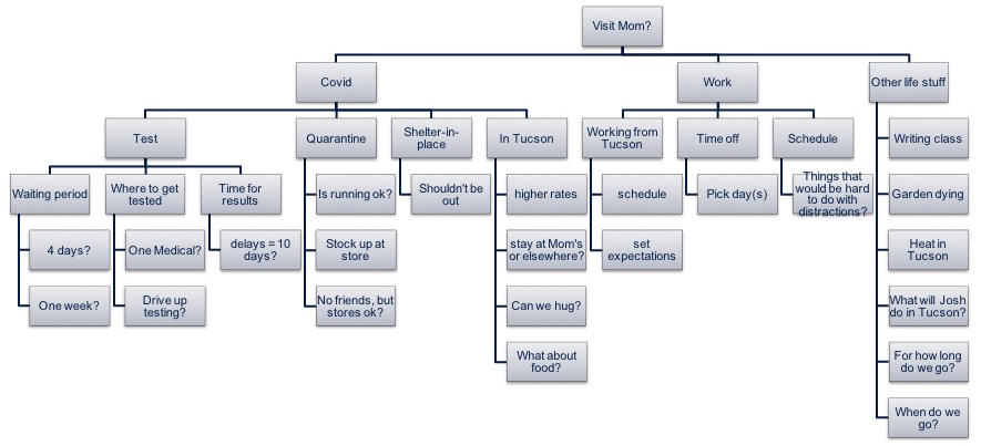 chart of what the process of making a decision to visit my mom might look like