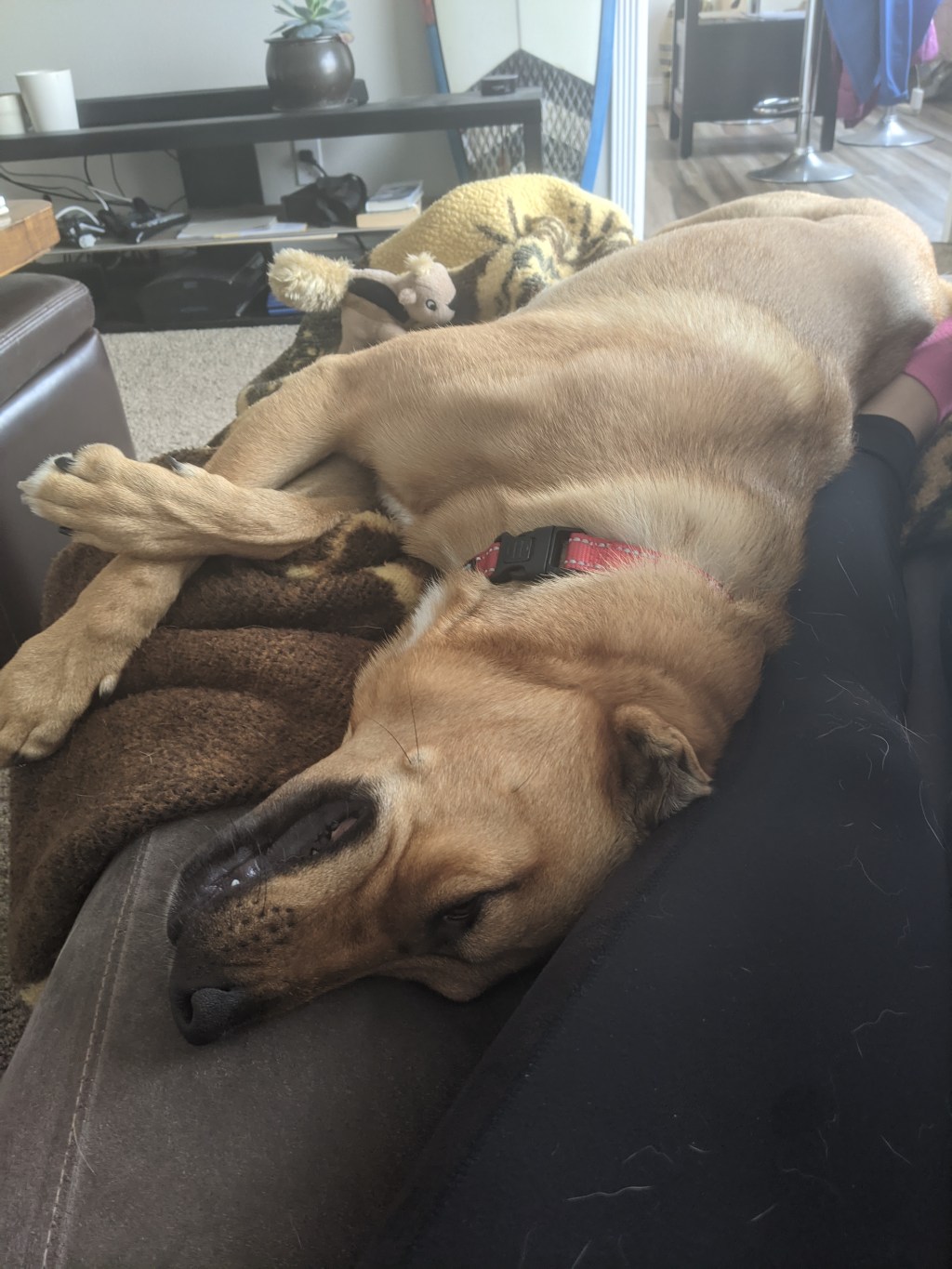 Latent Lollygagger: New&nbsp;Connections