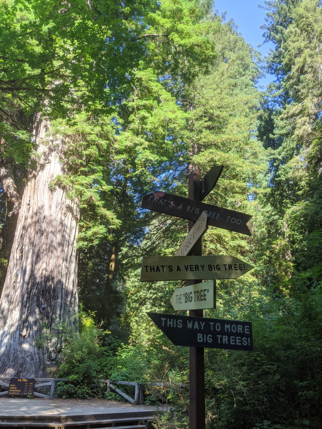 Latent Lollygagger: The gut, the heart, the&nbsp;voice.