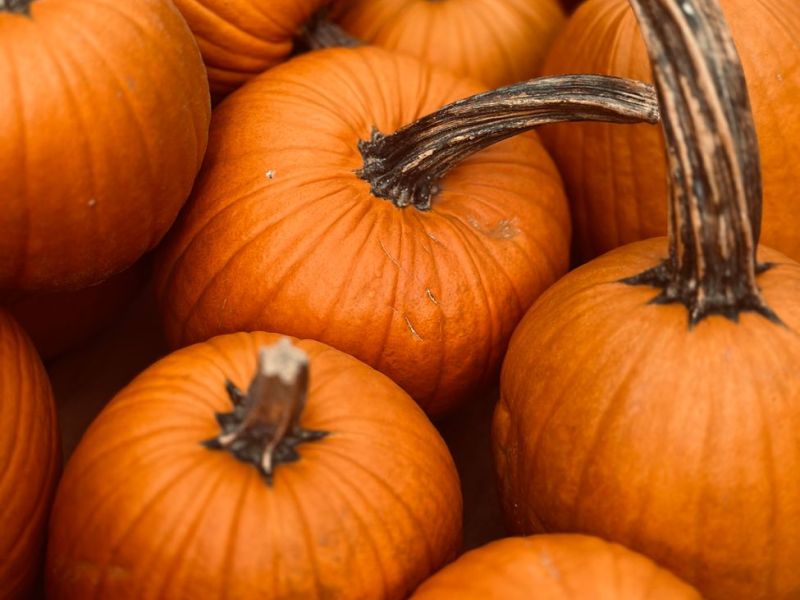 Bank of Erin October&nbsp;Newsletter