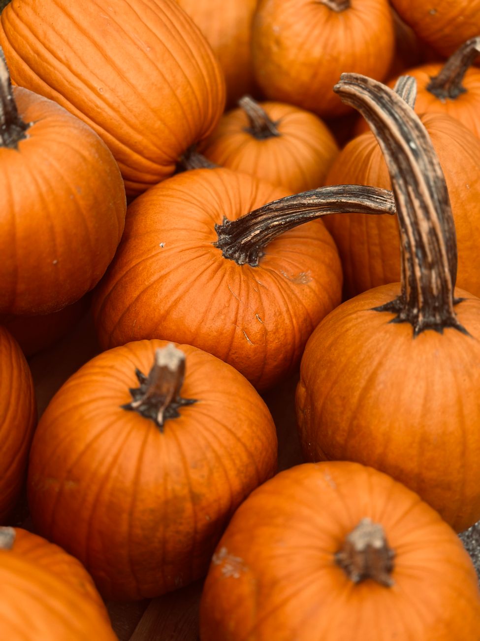 Bank of Erin October&nbsp;Newsletter